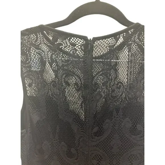 Express Black Lace Sheer Dress - Picture 5 of 5
